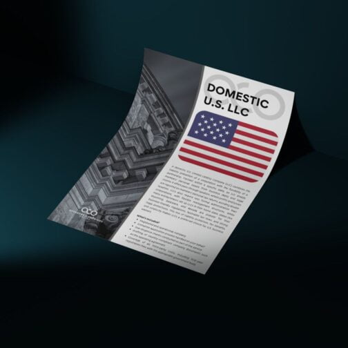Domestic U.S LLC